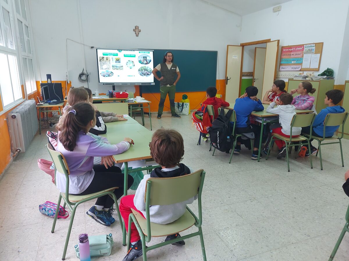 Charla-Taller Polinizadores Silvestres