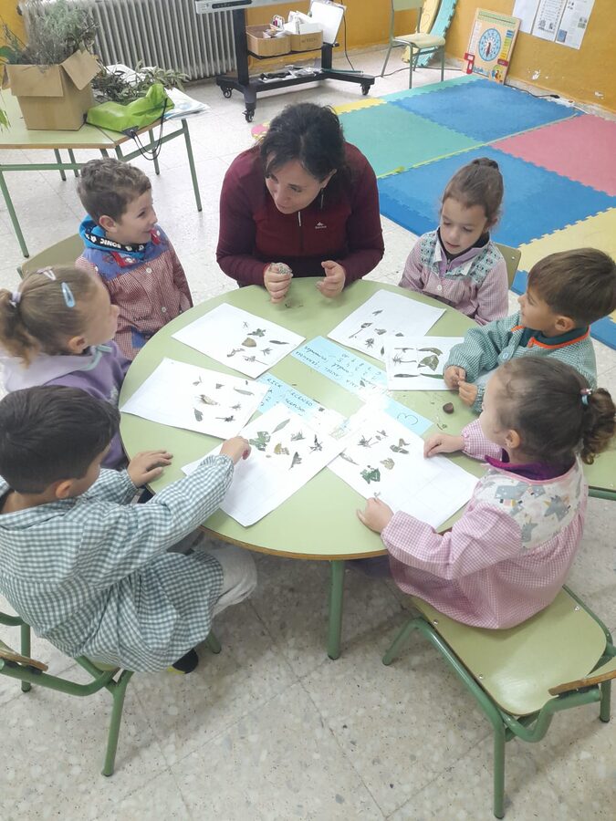 Taller, » Flora Mágica de la Reserva de la Biosfera»